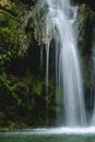 Streaming cascade water in green forest